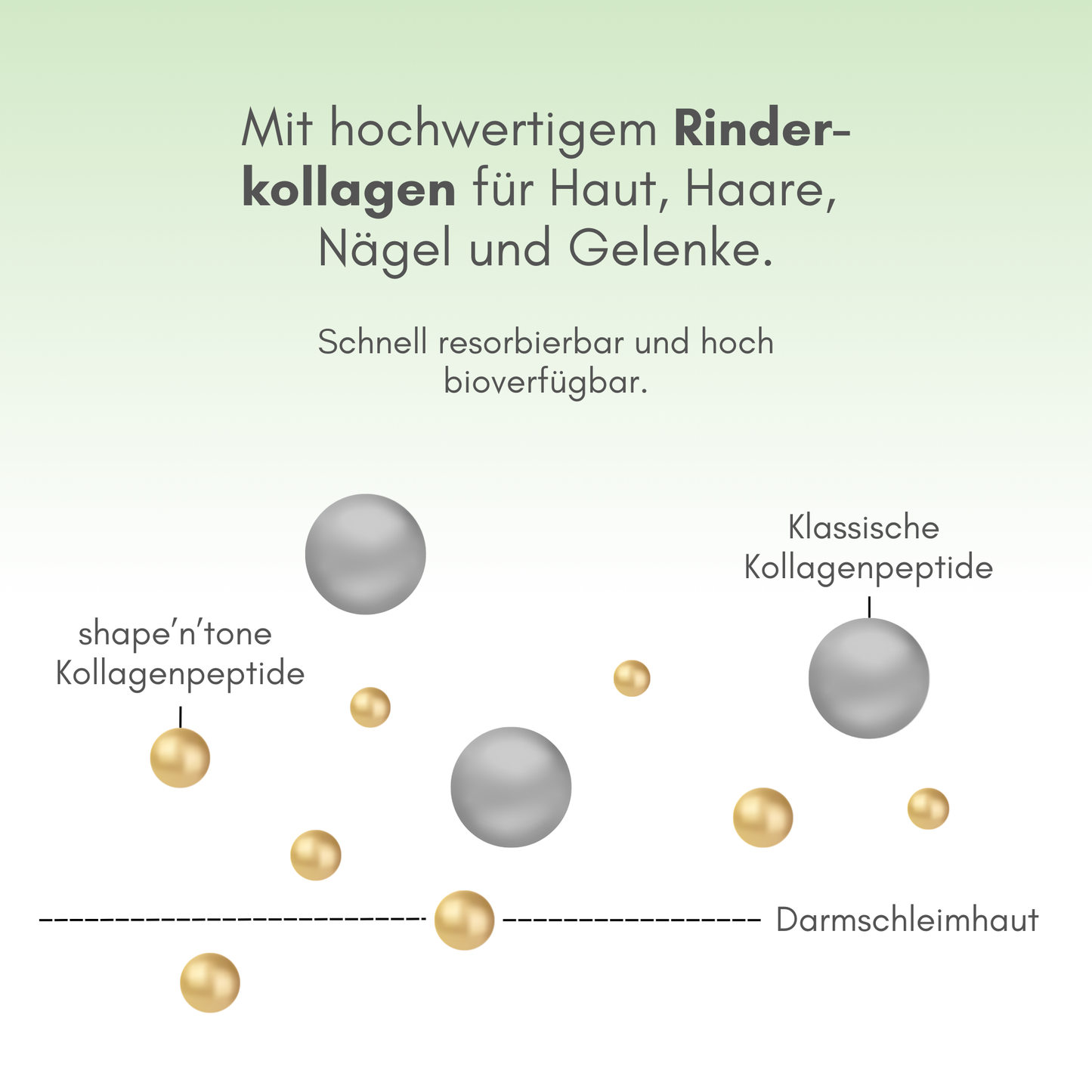 shape n tone - PREMIUM KOLLAGEN